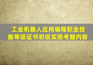 工业机器人应用编程职业技能等级证书初级实操考题内容