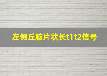 左侧丘脑片状长t1t2信号