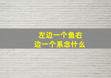 左边一个鱼右边一个系念什么