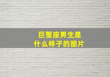 巨蟹座男生是什么样子的图片