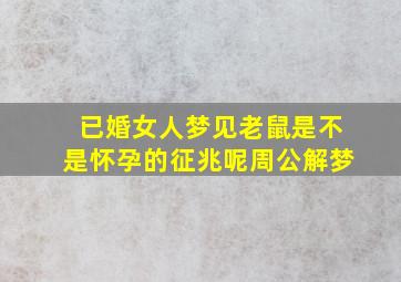 已婚女人梦见老鼠是不是怀孕的征兆呢周公解梦