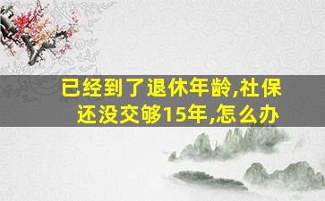 已经到了退休年龄,社保还没交够15年,怎么办