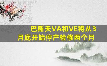 巴斯夫VA和VE将从3月底开始停产检修两个月