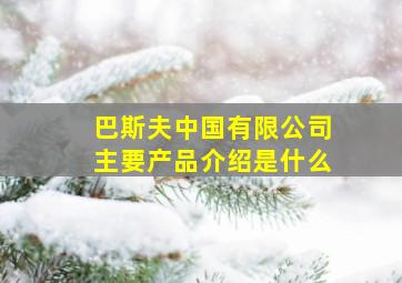 巴斯夫中国有限公司主要产品介绍是什么