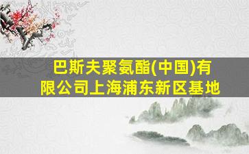 巴斯夫聚氨酯(中国)有限公司上海浦东新区基地