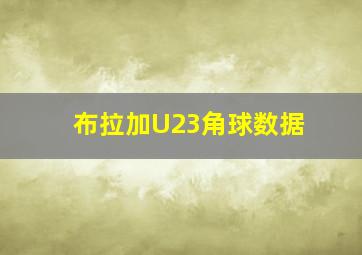 布拉加U23角球数据