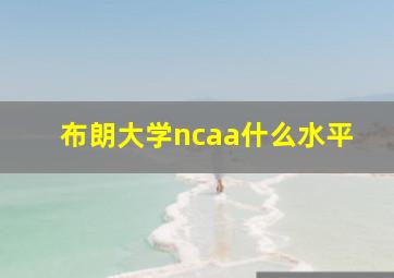 布朗大学ncaa什么水平