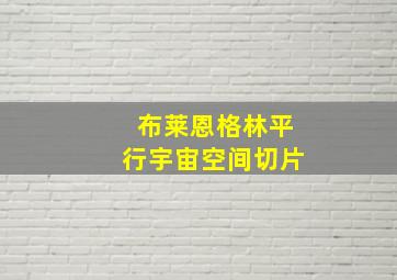 布莱恩格林平行宇宙空间切片