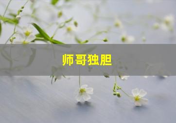 师哥独胆