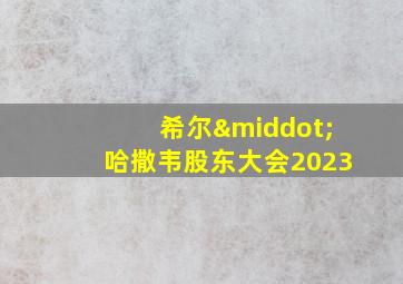 希尔·哈撒韦股东大会2023