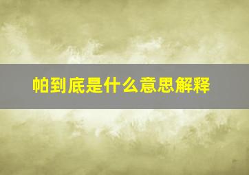 帕到底是什么意思解释