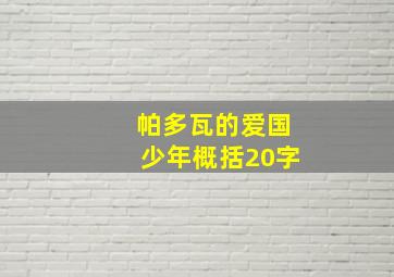 帕多瓦的爱国少年概括20字