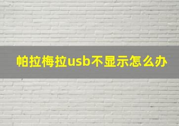 帕拉梅拉usb不显示怎么办