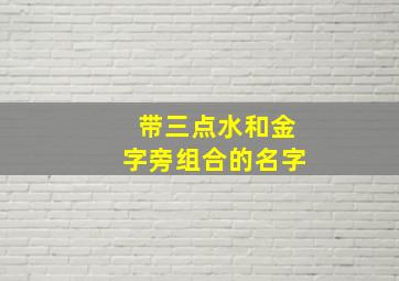 带三点水和金字旁组合的名字