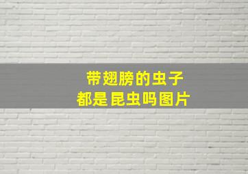 带翅膀的虫子都是昆虫吗图片