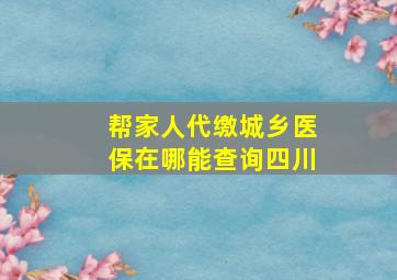 帮家人代缴城乡医保在哪能查询四川