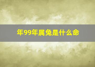 年99年属兔是什么命