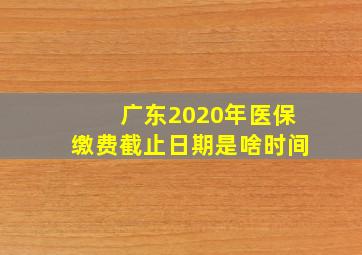 广东2020年医保缴费截止日期是啥时间