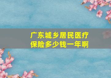 广东城乡居民医疗保险多少钱一年啊