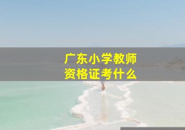 广东小学教师资格证考什么