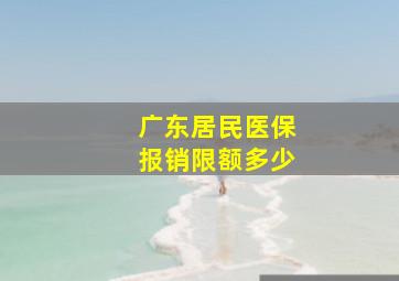 广东居民医保报销限额多少