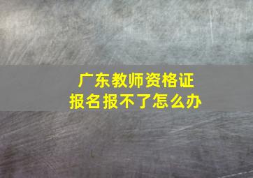 广东教师资格证报名报不了怎么办