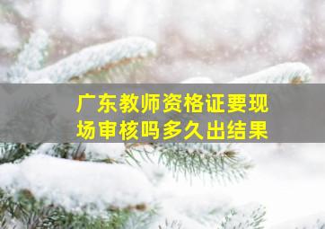 广东教师资格证要现场审核吗多久出结果