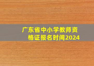 广东省中小学教师资格证报名时间2024