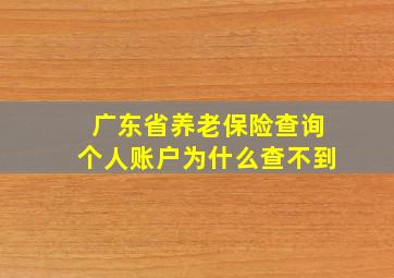 广东省养老保险查询个人账户为什么查不到