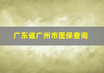 广东省广州市医保查询