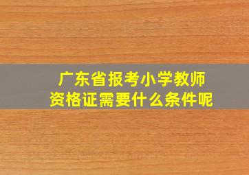 广东省报考小学教师资格证需要什么条件呢