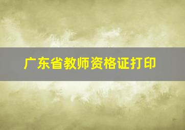 广东省教师资格证打印