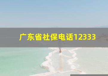 广东省社保电话12333