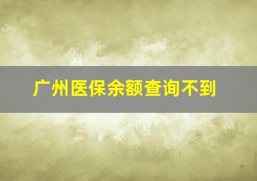 广州医保余额查询不到