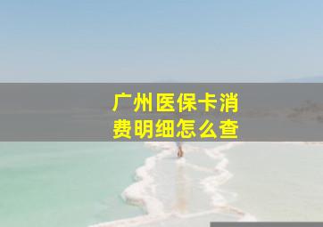 广州医保卡消费明细怎么查