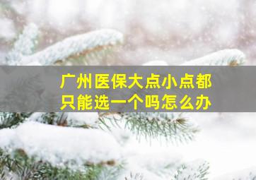 广州医保大点小点都只能选一个吗怎么办