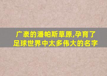 广袤的潘帕斯草原,孕育了足球世界中太多伟大的名字