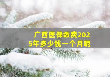 广西医保缴费2025年多少钱一个月呢