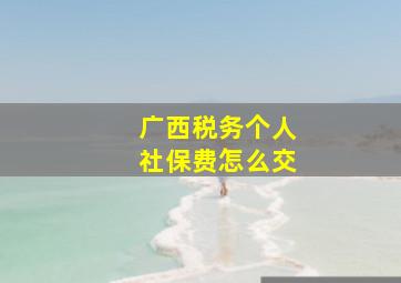 广西税务个人社保费怎么交