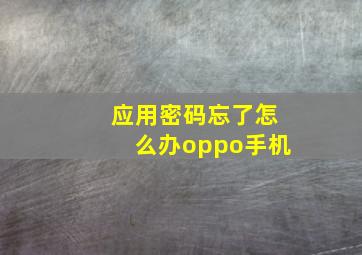 应用密码忘了怎么办oppo手机