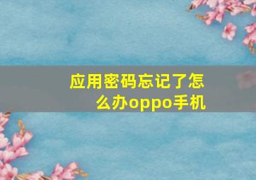 应用密码忘记了怎么办oppo手机