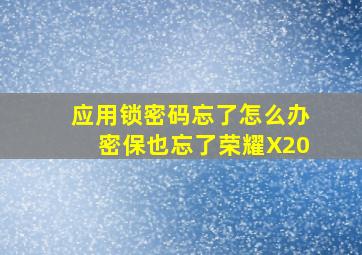 应用锁密码忘了怎么办密保也忘了荣耀X20