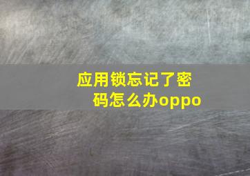 应用锁忘记了密码怎么办oppo