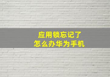 应用锁忘记了怎么办华为手机