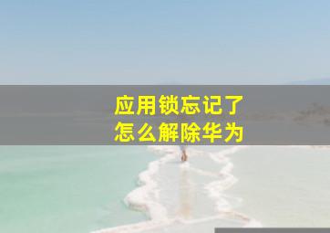 应用锁忘记了怎么解除华为