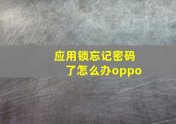 应用锁忘记密码了怎么办oppo