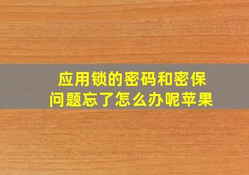 应用锁的密码和密保问题忘了怎么办呢苹果