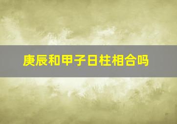 庚辰和甲子日柱相合吗