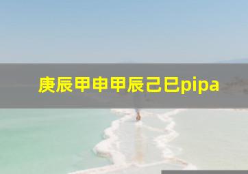 庚辰甲申甲辰己巳pipa