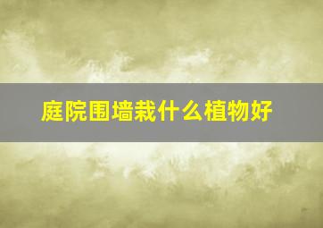 庭院围墙栽什么植物好